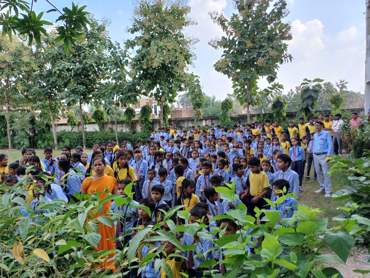 Green Peaceful Environment